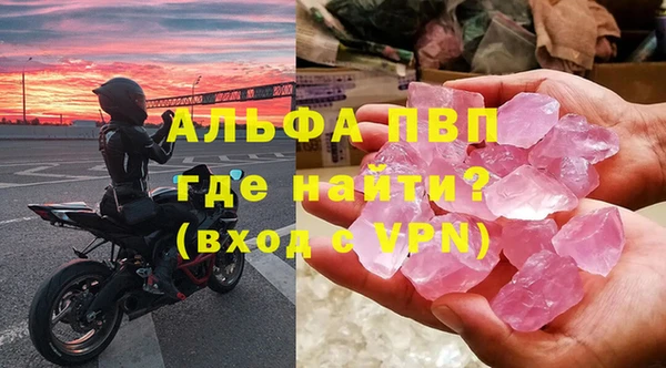 сатива Белокуриха