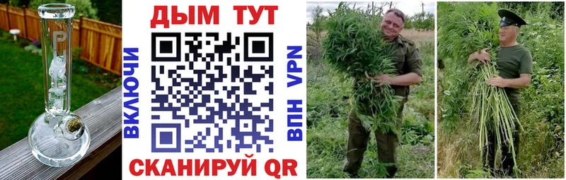 Купить  Краснозаводск  Шишки марихуана SATIVA & INDICA 